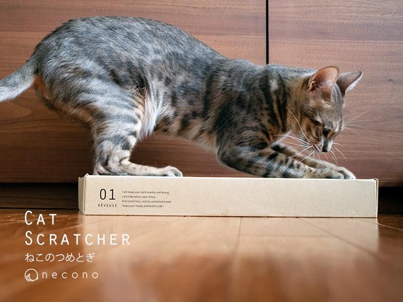<img class='new_mark_img1' src='https://img.shop-pro.jp/img/new/icons32.gif' style='border:none;display:inline;margin:0px;padding:0px;width:auto;' />neconoǭޤȤCAT SCRATCHERREVEUSE 01  4589974550545