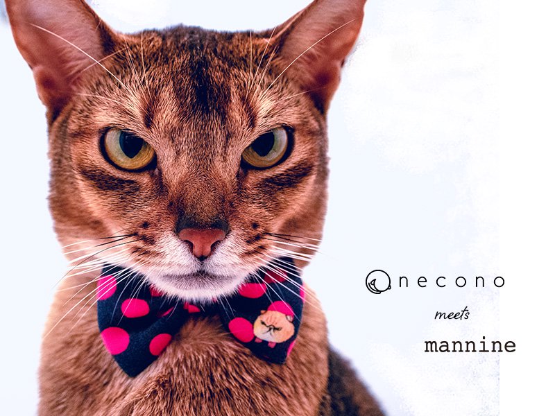 necono - ͥ -  mannine cat Ribbon necklace ١ͤѡܥμ
