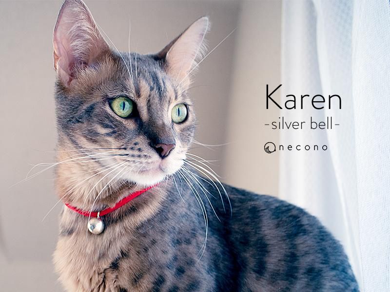 necono ǭ   Karen - silver bell -  