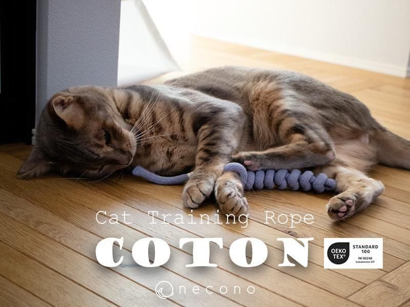 <img class='new_mark_img1' src='https://img.shop-pro.jp/img/new/icons1.gif' style='border:none;display:inline;margin:0px;padding:0px;width:auto;' />necono - ͥ -ͤΤ㡡