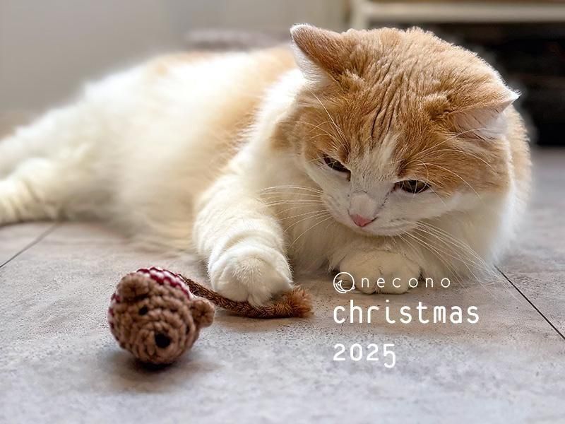 <img class='new_mark_img1' src='https://img.shop-pro.jp/img/new/icons1.gif' style='border:none;display:inline;margin:0px;padding:0px;width:auto;' />necono - ͥ -ͤΤ㡡  󥿤夿ͥߤ ١˥å