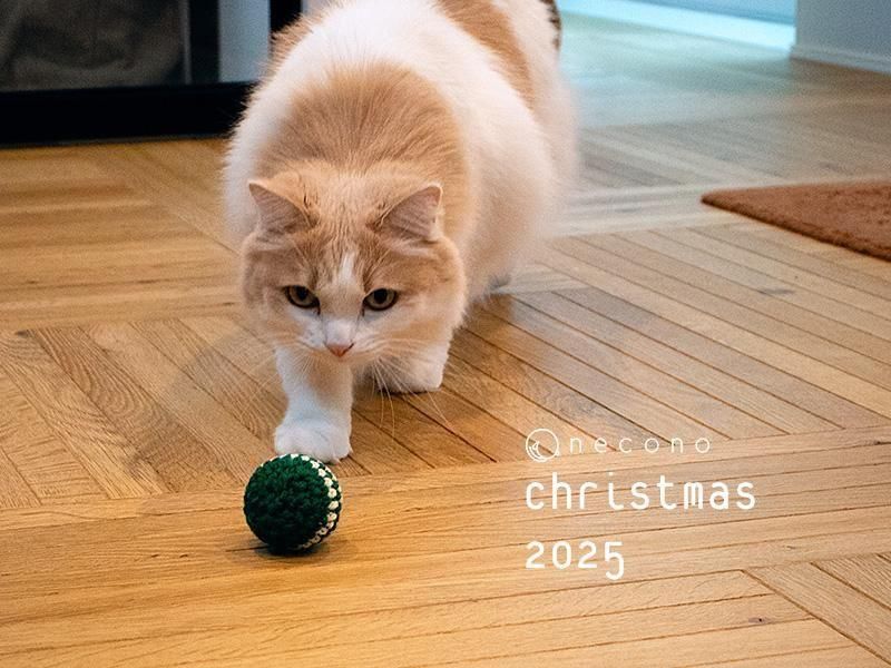 <img class='new_mark_img1' src='https://img.shop-pro.jp/img/new/icons1.gif' style='border:none;display:inline;margin:0px;padding:0px;width:auto;' />necono - ͥ -ͤΤ㡡  Holly Chime/ۡ꡼㥤 ١ꡡ˥å