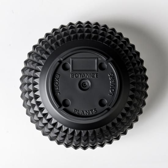 BOTANIZE】PLA POT BOWL STUDS “Black” Mサイズ | ガーデニング