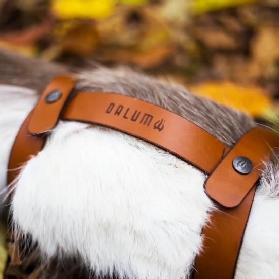 DALUM トナカイファー ワード | 冬キャンプ用マット - Outdoor