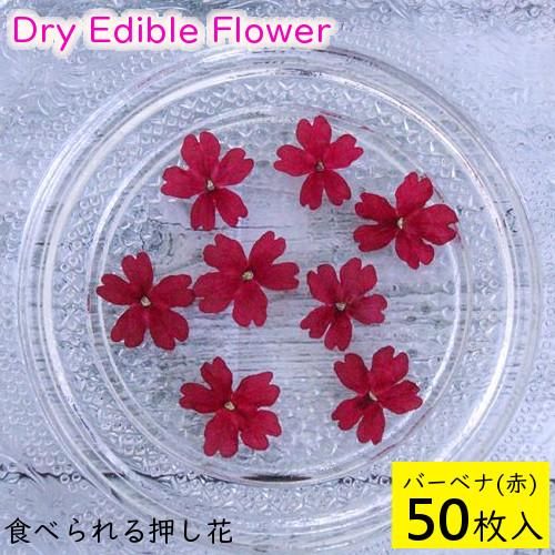全国送料無料 食べられる押し花 ドライエディブルフラワー バーベナ 赤 50枚入り 食用花 ドライフラワー メール便 Omtmb6261 公式 おかしのマーチ 袋詰専門店 全国送料無料 食べられる押し花 ドライエディブルフラワー バーベナ 赤 50枚入り 食用花 ドライフラワー メール便 Omtmb6261 公式 おかしのマーチ 袋詰専門店
