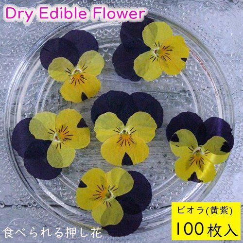 全国送料無料 食べられる押し花 ドライエディブルフラワー ビオラ 黄紫 100枚入り 食用花 ドライフラワー メール便 Omtmb7234 公式 おかしのマーチ 袋詰専門店 全国送料無料 食べられる押し花 ドライエディブルフラワー ビオラ 黄紫 100枚入り 食用花 ドライフラワー メール便 Omtmb7234 公式 おかしのマーチ 袋詰専門店