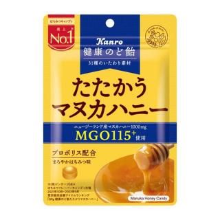  򹯤Τɰޥ̥ϥˡ 80g 48 2024/09/23ȯ (4901351001721c)