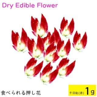 (̵)٤벡 ɥ饤ǥ֥ե  () 1g Ѳ ɥ饤ե  ᡼(omtmb8691)