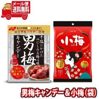 (全国送料無料) お菓子 詰め合わせ 男梅&小梅 梅好きの為の梅セット(2種・計2コ) メール便 (omtmb9638)【送料無料 小袋 個包装 お試し うめ ウメ お試し】