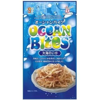 μ 糤Τ 13g 60 (4962407043591c)