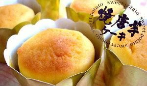 寿屋 焼唐芋ケーキ 10個入り さつま郷本舗