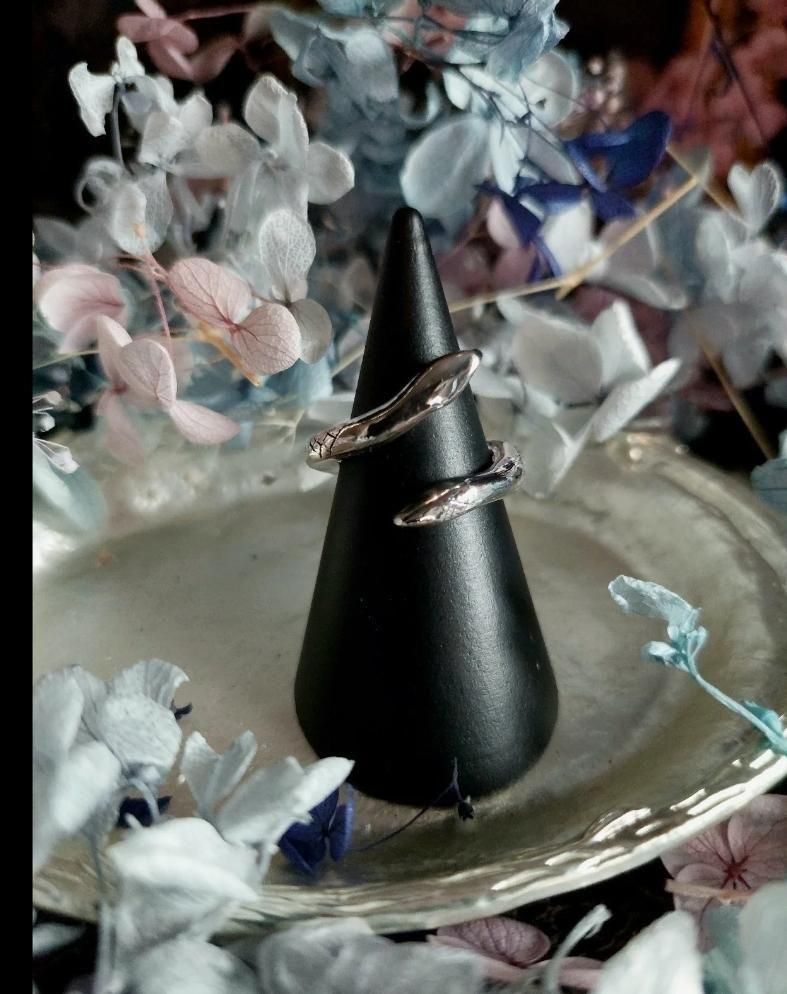 <img class='new_mark_img1' src='https://img.shop-pro.jp/img/new/icons30.gif' style='border:none;display:inline;margin:0px;padding:0px;width:auto;' />Envy +Jealousy 