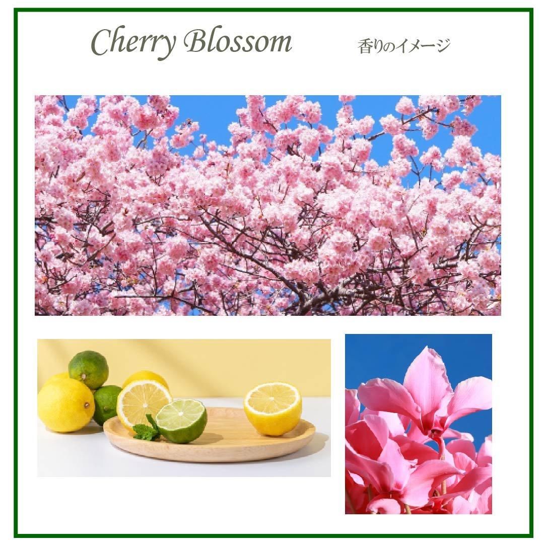 デルベ】Derbe公式オンラインストア