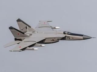 FLYFANS MIG25 EPO Twin 64mm EDF  Ukraine painting