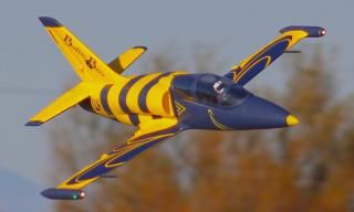 FLYFANS L39-EPO 64mm EDF Baltic Bees