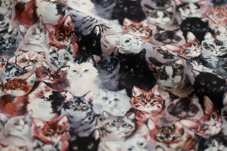 Find your Cat!-Colored Cats-】 Sleeve design - Balletwear