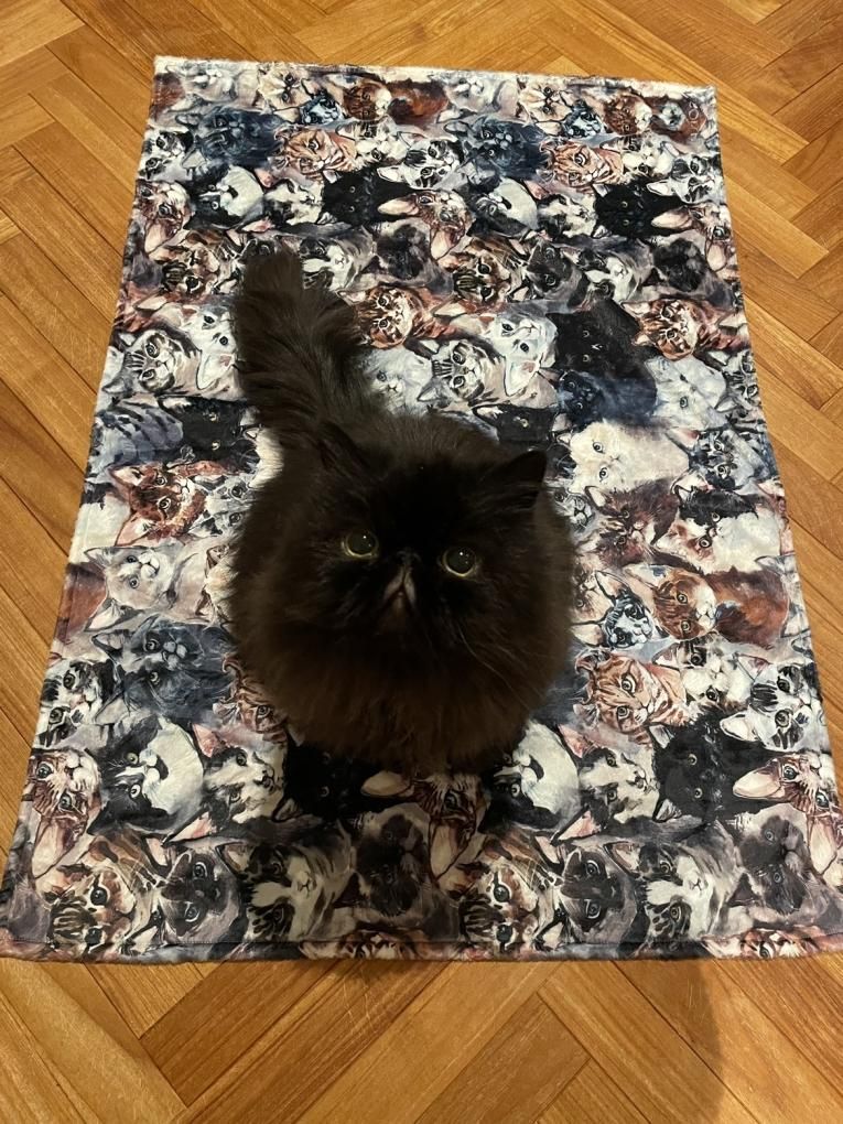 ○Blanket 【Size／M】 (Donation project limited item