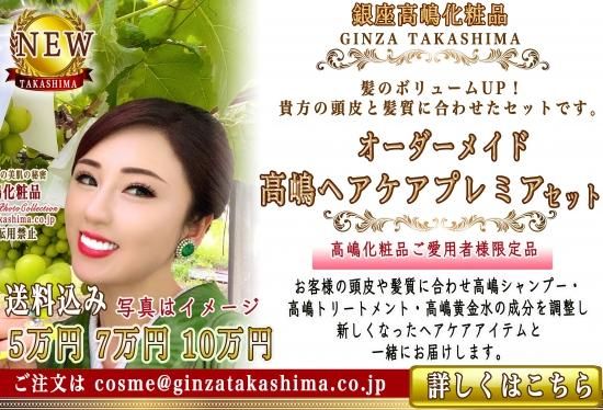 高感度ショップで2023年売れたブランド 高嶋ヘアケアプレミアセット オーダーメイドシャンプー シャンプー