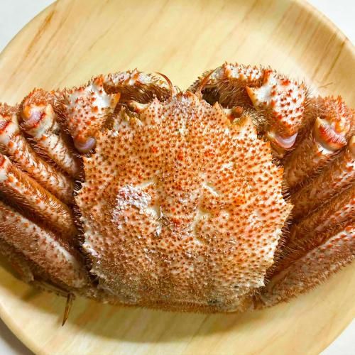 ڤϥޥ륷۶¹貽ʤѼ͸ꡡָ꿷觤Ǥӳ(祵ˡոꡡʤˤƤѤޤ̤餪Ѥޤǡ