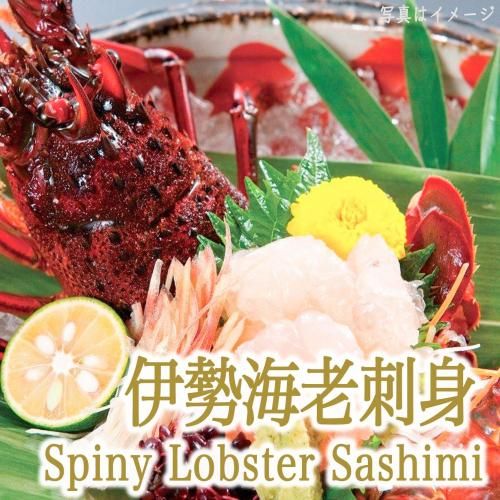 建ŸľȴŤߤ㤦ӻɿȡ礭ᡡɿȤ˥åȲǽǿ٤䤹