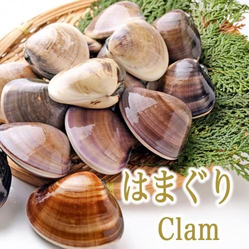 建礭ϤޤꡡϤޤ顡ƤȺ󥸤ǥǼ⡡ǽ