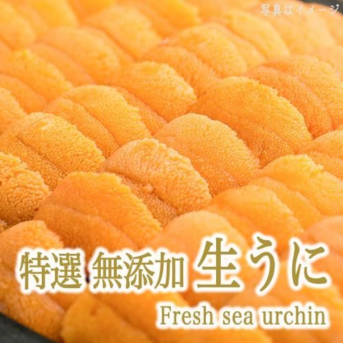 建̵źåץߥࡡˡǡЧϤǤ