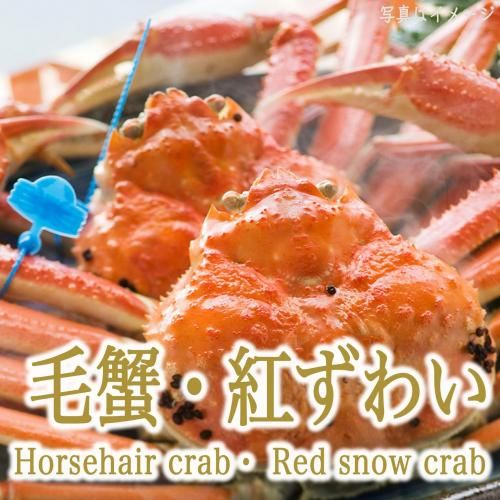 建礭᥵̣äפꡡǤΩƤǤǽϿ٤䤹åȤƤȯ