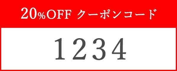 20ǯǰ