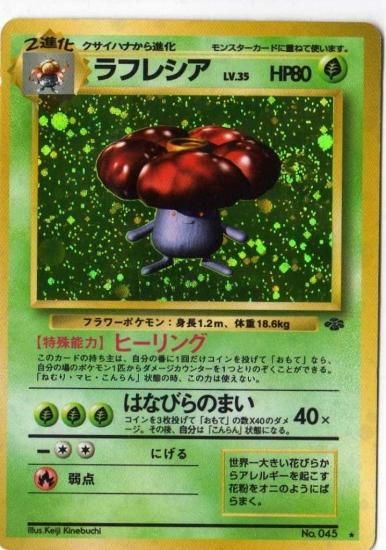 01g045 ラフレシア トレーディングカード 専門店 ハタト イ デュエルマスターズ デジモンカード バトスピ ポケモン 各種トレーディングカード 取り扱い 01g045 ラフレシア トレーディングカード 専門店 ハタト イ デュエルマスターズ デジモンカード バトスピ ポケモン 各種トレーディングカード 取り扱い