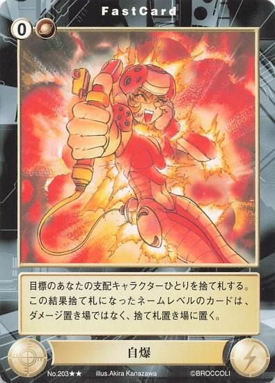 種類豊富な品揃え 夢幻の天秤宮 アクエリアンエイジ トレーディングカードゲーム その他