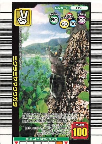 甲虫王者 ムシキング 051 ミクラミヤマクワガタ 2006ネイチャー 甲虫王者 ムシキング 051 ミクラミヤマクワガタ 2006ネイチャー