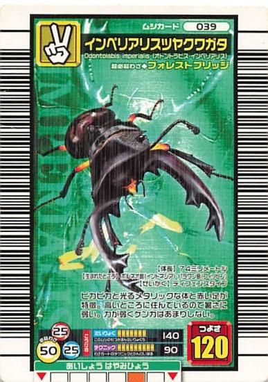 甲虫王者 ムシキング 039 インぺリアリスツヤクワガタ 2006 甲虫王者 ムシキング 039 インぺリアリスツヤクワガタ 2006