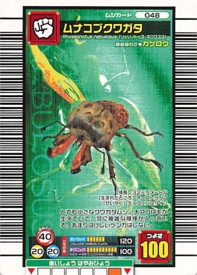 甲虫王者 ムシキング 048 ムナコブクワガタ 2006セカンド 甲虫王者 ムシキング 048 ムナコブクワガタ 2006セカンド
