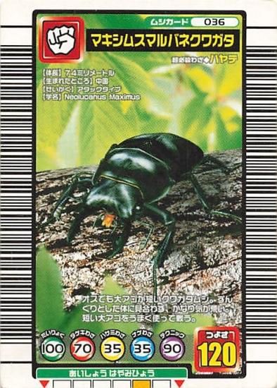甲虫王者 ムシキング 036 マキシムスマルバネクワガタ 2004