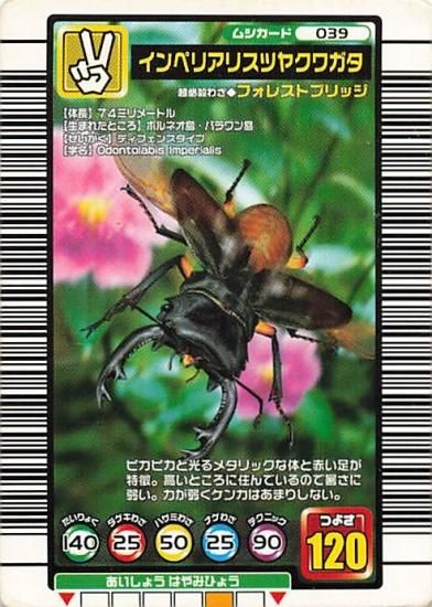 カード紹介】インペリアリスツヤクワガタ、フォレストブリッジ