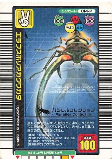 甲虫王者 ムシキング 014-P エラフスホソアカクワガタ パラレル 甲虫王者 ムシキング 014-P エラフスホソアカクワガタ パラレル