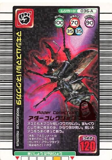 ムシキングカード アダーコレクション 甲虫王者 ムシキング 036-A マキシムスマルバネクワガタ アダー