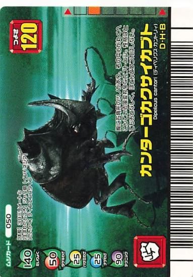 甲虫王者 ムシキング 050 カンターゴカクサイカブト フォレスト 甲虫王者 ムシキング 050 カンターゴカクサイカブト フォレスト
