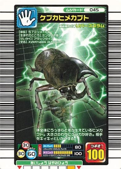 甲虫王者 ムシキング 045 ケブカヒメカブト 2005ファースト
