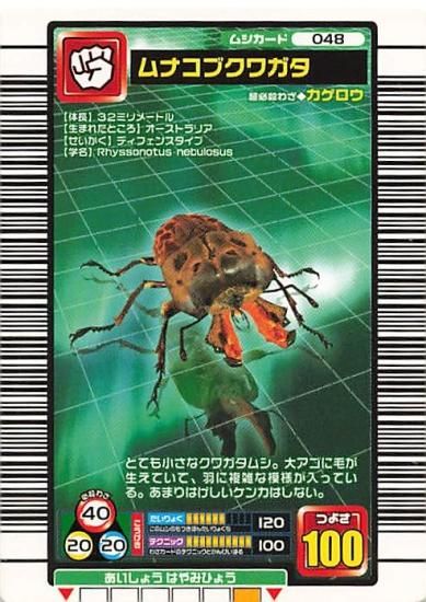 甲虫王者 ムシキング 048 ムナコブクワガタ 2005ファースト 甲虫王者 ムシキング 048 ムナコブクワガタ 2005ファースト