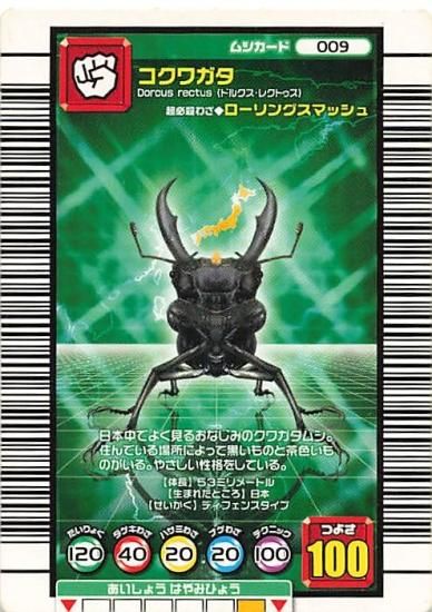 甲虫王者 ムシキング 009 コクワガタ 2005セカンド 甲虫王者 ムシキング 009 コクワガタ 2005セカンド