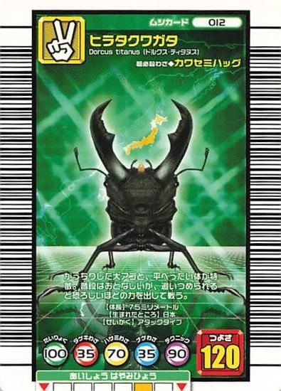 ふじみ野市 ムシキング カード 2005セカンド まとめ - トレーディング