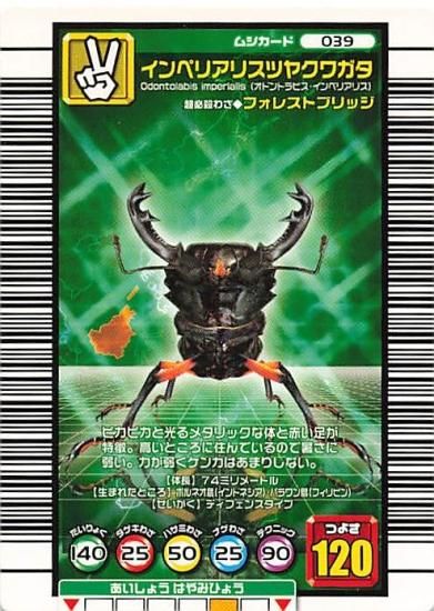 甲虫王者 ムシキング 039 インペリアリスツヤクワガタ 2005 甲虫王者 ムシキング 039 インペリアリスツヤクワガタ 2005