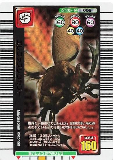 ムシキングカード エレファスゾウカブト セール ムシキング