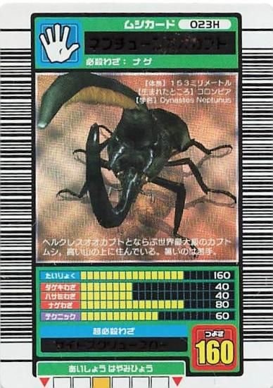 早割 旅行 未使用 コーカサスオオカブト 挑み 2003年春 美品 入手困難 希少 その他