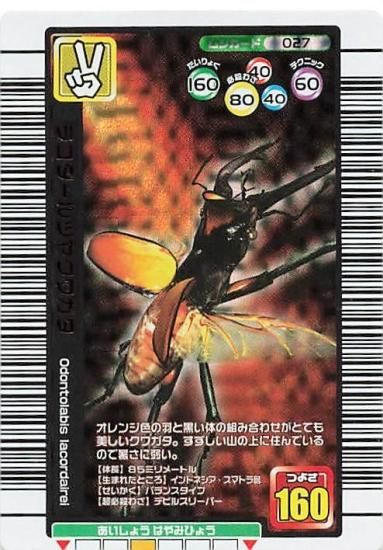 甲虫王者 ムシキング ラコダールツヤクワガタ 銅レア 027 2005年 甲虫王者 ムシキング ラコダールツヤクワガタ 銅レア 027 2005年