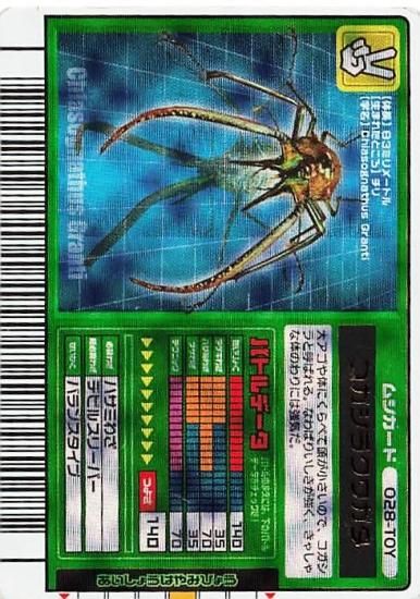 甲虫王者ムシキング コガシラクワガタ 028 - トレーディング