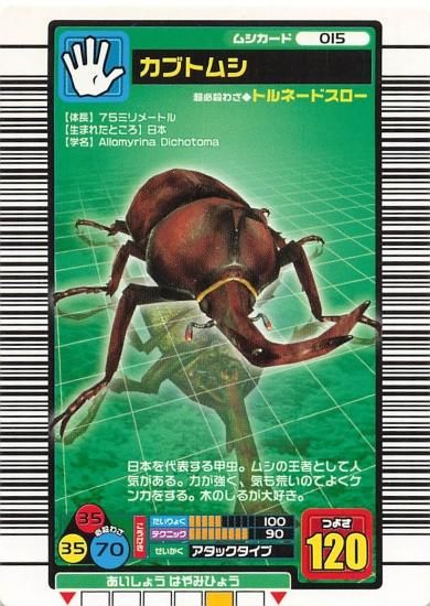 カブトムシ トレーディングカード 甲虫王者ムシキング - メルカリ
