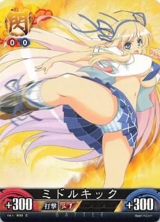 閃乱カグラ アンリミテッドヴァーサス - トレーディングカード 閃乱カグラ アンリミテッドヴァーサス - トレーディングカード
