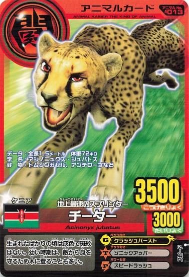 百獣大戦アニマルカイザー 地上最速のスプリンター チーター 第4